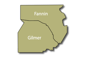 Gilmer/Fannin County